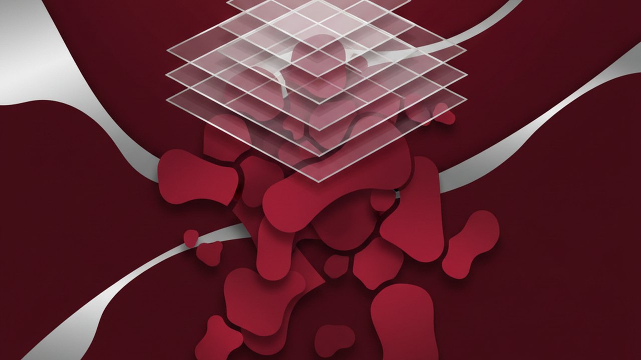 Abstract deep crimson and platinum silver cover illustration for the Skin Lesion Segmentation project (2022), showing layered convolutional filters cascading into activation maps.